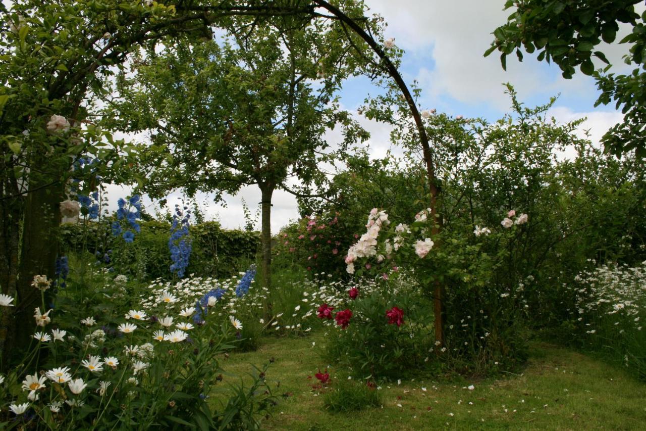 B&B Eenvoud In Overvloed Vleteren Exterior photo